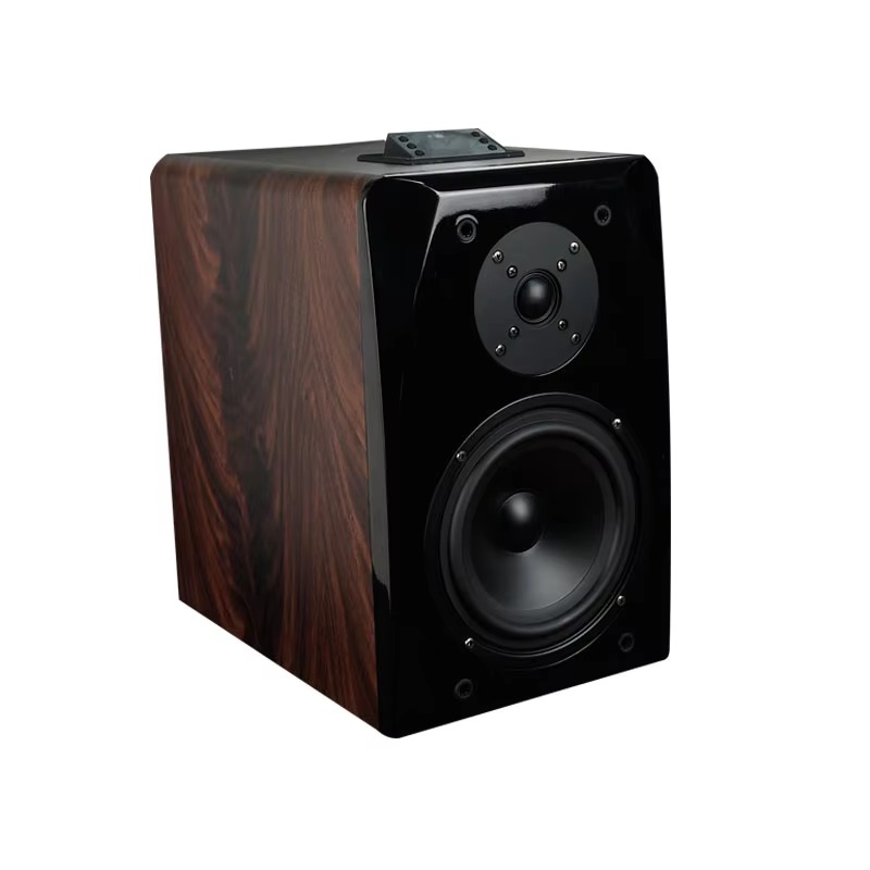 High Performance Active Karaok - Audio Music Sound review and price