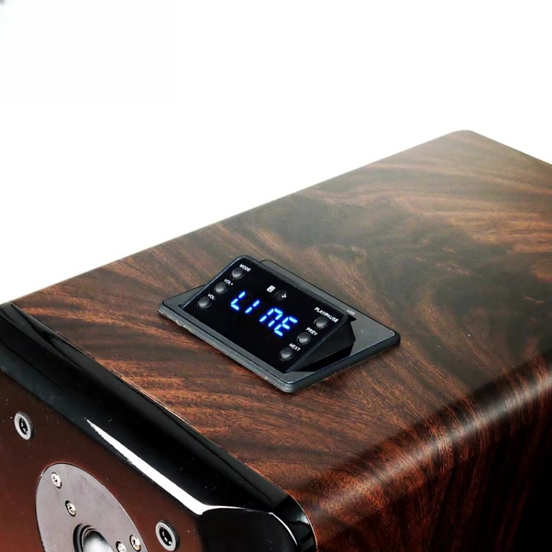 High Performance Active Karaok - Audio Music Sound review and price