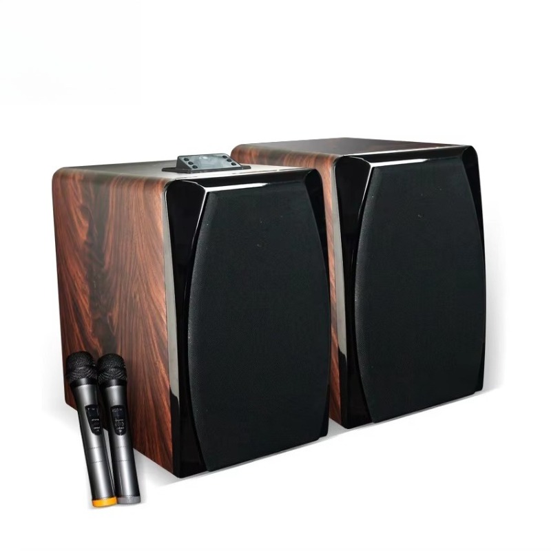 High Performance Active Karaok - Audio Music Sound review and price