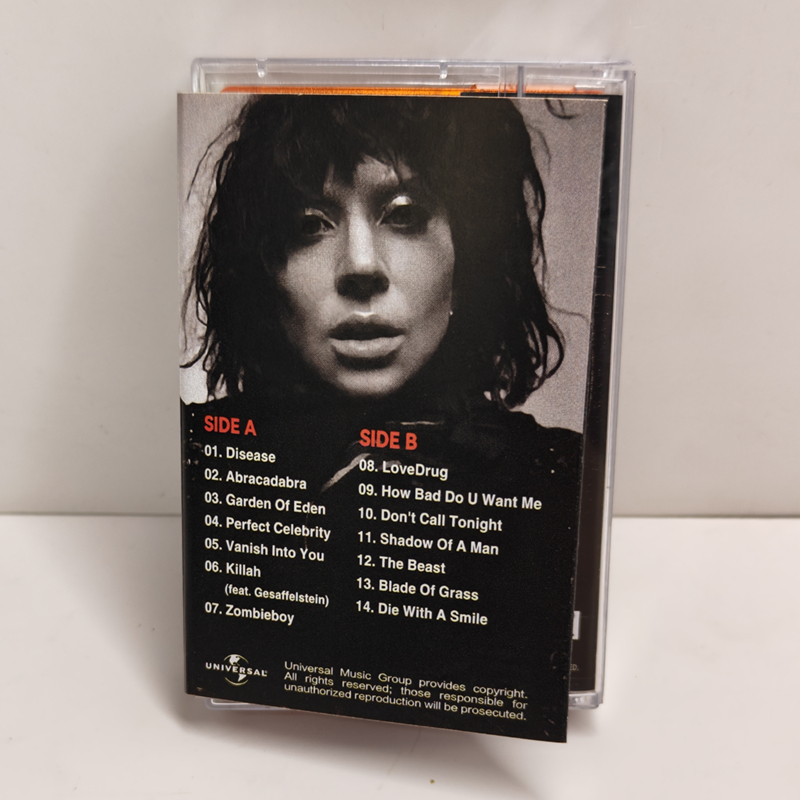 New Pop Lady Gaga The Fame Mus - Audio Music Recorder review and price